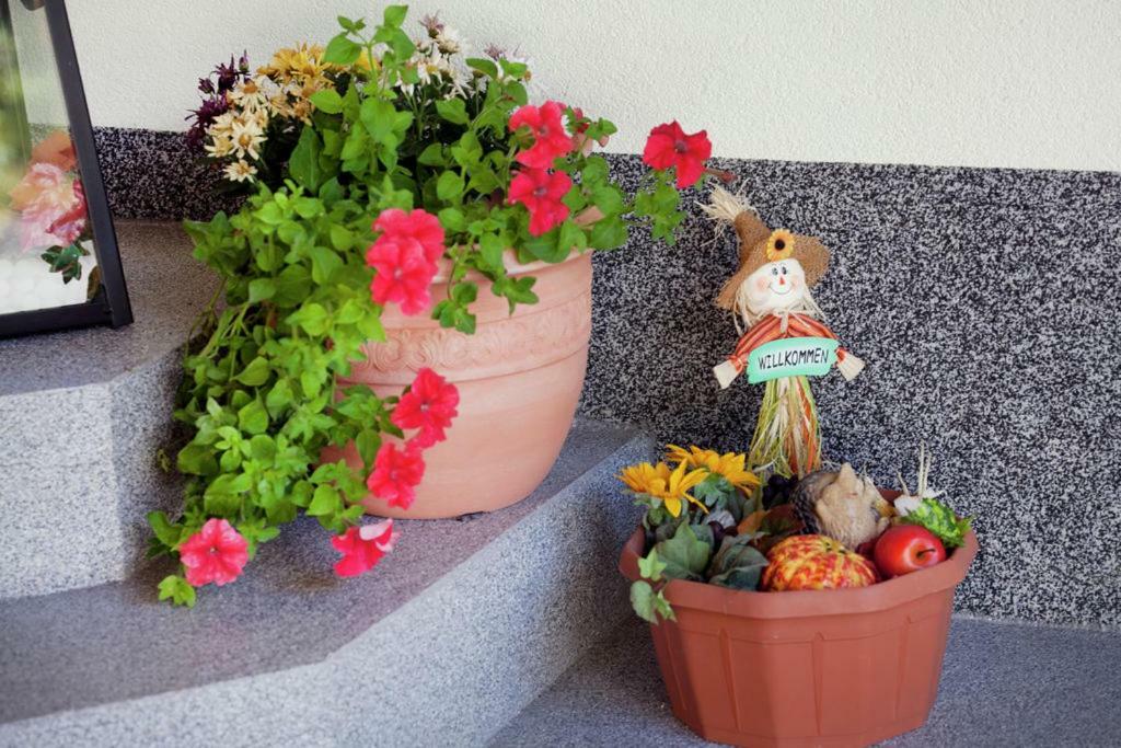 オプシュタイクHaus Monikaアパートメント エクステリア 写真